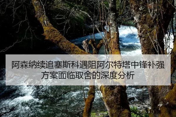 阿森纳续追塞斯科遇阻阿尔特塔中锋补强方案面临取舍的深度分析