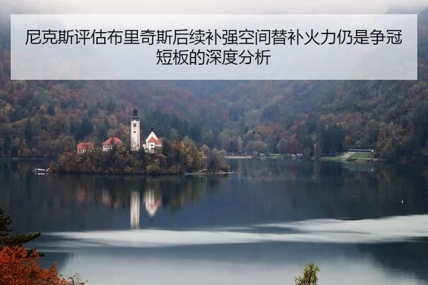 尼克斯评估布里奇斯后续补强空间替补火力仍是争冠短板的深度分析